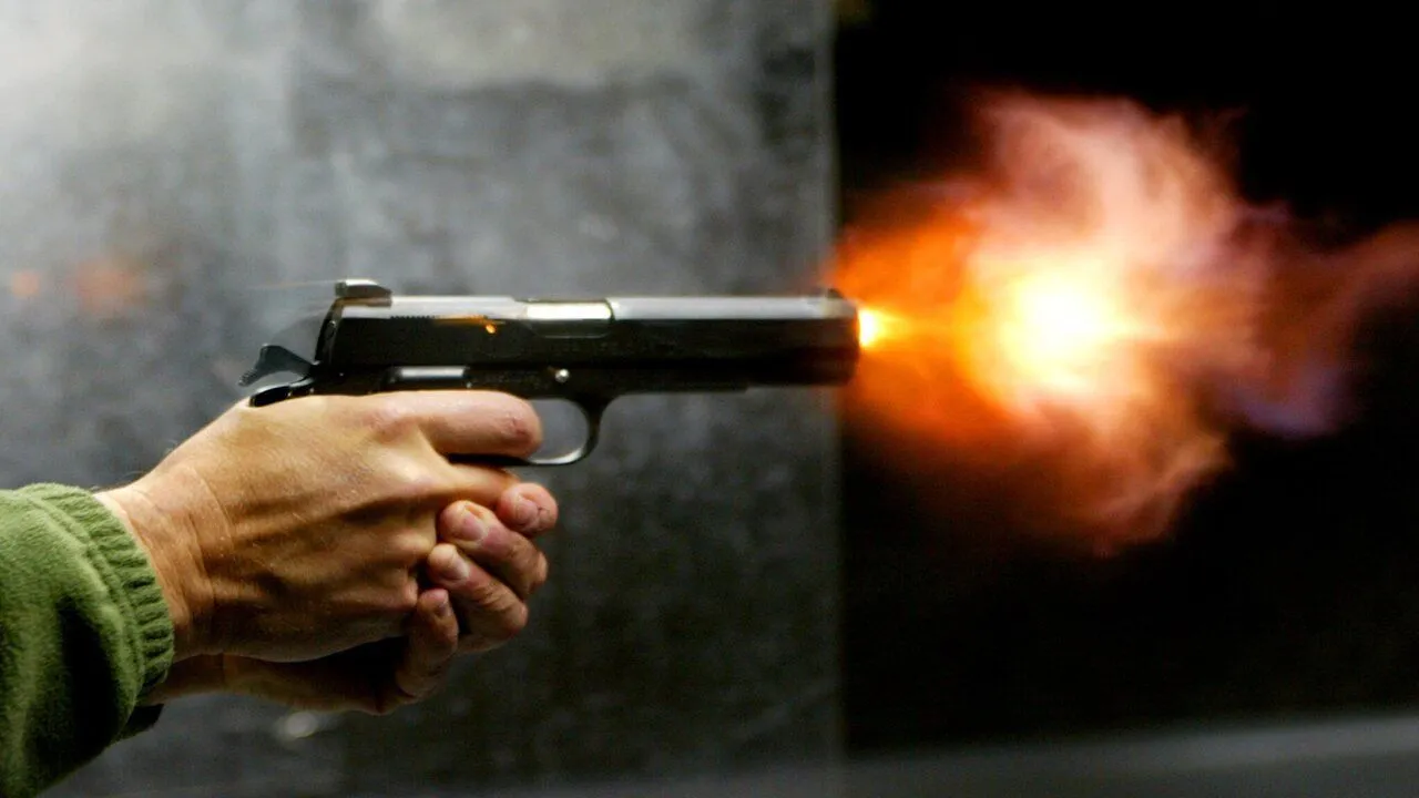 Article 1